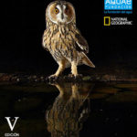 190325-FOT-Photoaquae-National-Geographic-02.jpg