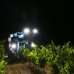 VENDIMIA-RUEDA-1_1500x996.jpg