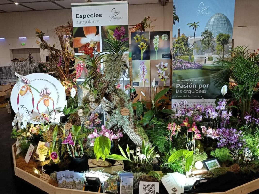 El Orquidario de Estepona obtiene el segundo premio en la 24ª Conferencia Mundial de Orquídeas celebrada en Dresde