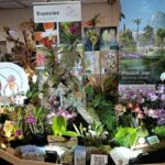 El Orquidario de Estepona obtiene el segundo premio en la 24ª Conferencia Mundial de Orquídeas celebrada en Dresde El Orquidario de Estepona obtiene el segundo premio en la 24ª Conferencia Mundial de Orquídeas celebrada en Dresde