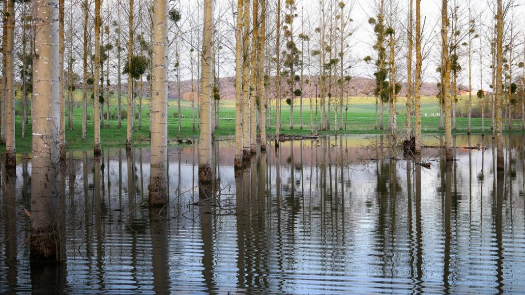 El SEPE destina 50 millones a contratar parados para reparar los daños de los temporales en Andalucía y Extremadura